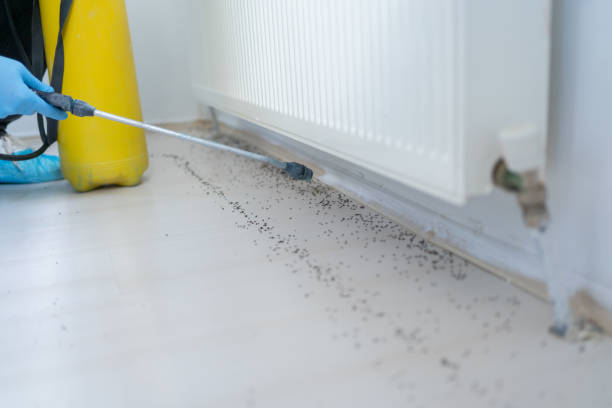 Best Exterminator Services  in Rifle, CO